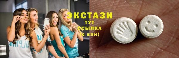 ECSTASY Богородицк